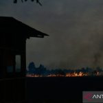 Pondok Pemilik Lahan di Kota Banjarbaru Nyaris Terlahap Karhutla